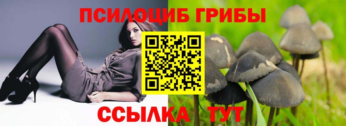 Псилоцибиновые грибы ЛСД  Вход с VPN  Саяногорск  Псилоцибиновые грибы MAGIC MUSHROOMS 